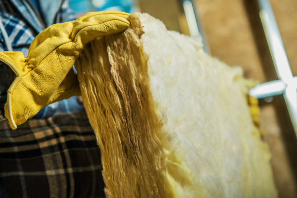 Best Professional Insulation Contractor  in Seneca Knolls, NY