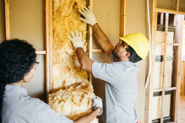 Best Attic Insulation Installation  in Seneca Knolls, NY