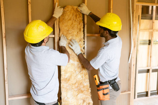 Best Home Insulation Services  in Seneca Knolls, NY