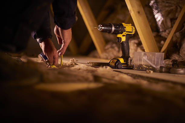 Best Insulation Removal  in Seneca Knolls, NY