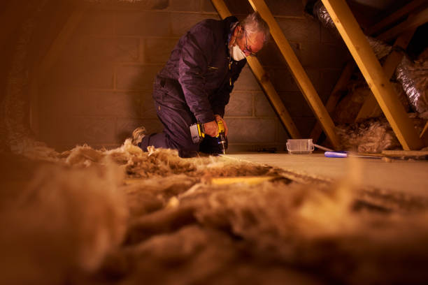 Best Energy-efficient Insulation  in Seneca Knolls, NY